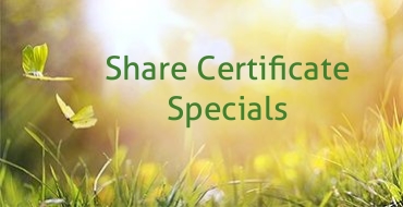 Spring meadow with butterflies 
Share Certificate Specials